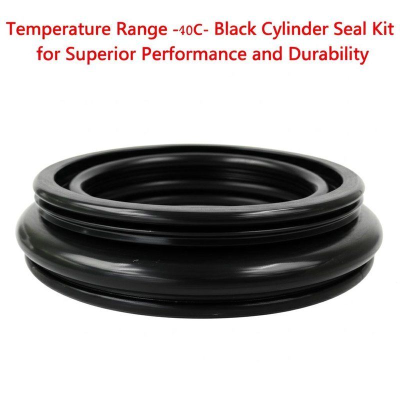 Temperature Range -40C- 120C Black Cylinder Seal Kit for Superior Performance and Durability